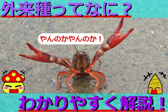 Thumbnail of post image 016